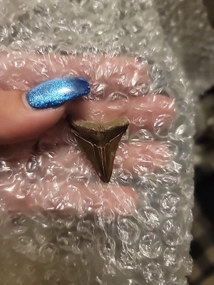 Foto dell'oggetto di un acquirente verificato