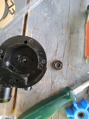 Fotos del artículo de un comprador verificado