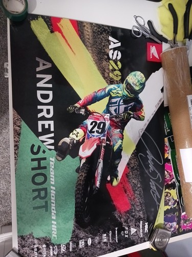 Photos de l'objet d'un acheteur vérifié