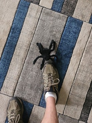 Artikelfoto(s) von einem verifizierten Käufer