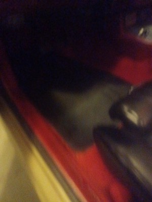 Fotos del artículo de un comprador verificado