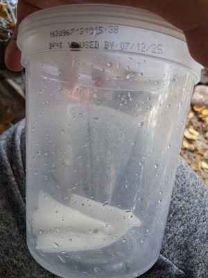 Fotos del artículo de un comprador verificado