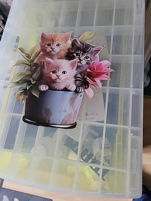 Artikelfoto(s) von einem verifizierten Käufer