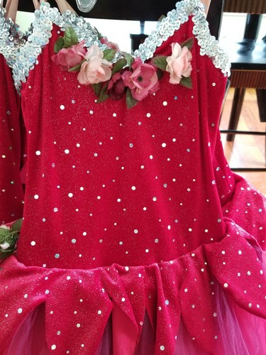 Lot of 5 Dresses Ballet Dance Costumes Recital Floral Burgundy Red Theater