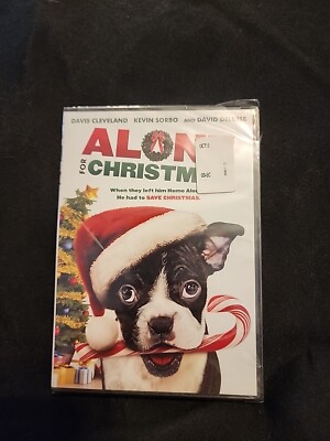 #5 Alone for Christmas (DVD)
