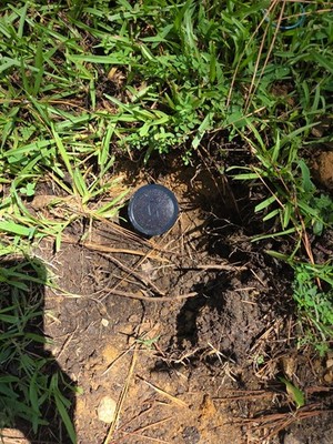 Fotos del artículo de un comprador verificado