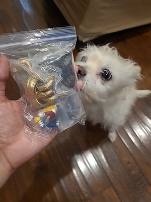 Item photo(s) from verified buyer