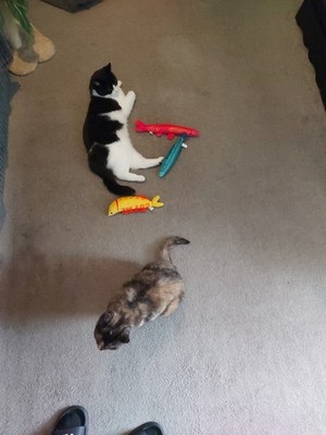 Item photo(s) from verified buyer