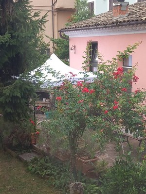 Foto dell'oggetto di un acquirente verificato