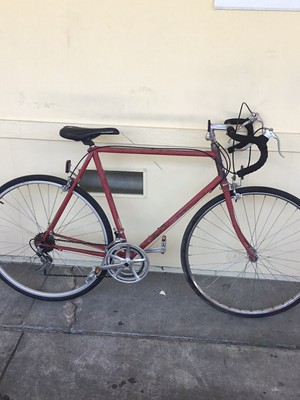used raleigh bicycles for sale