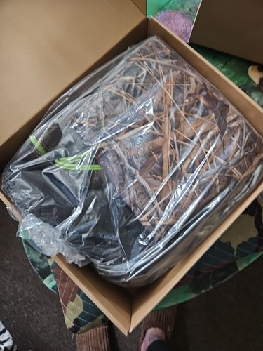 Artikelfoto(s) von einem verifizierten Käufer