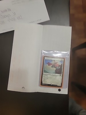 Photos de l'objet d'un acheteur vérifié