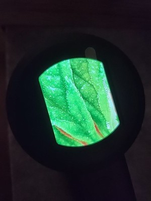 Foto dell'oggetto di un acquirente verificato