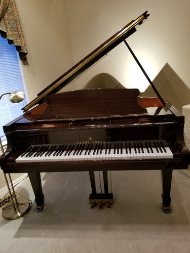 Young Chang Concert Grand Piano