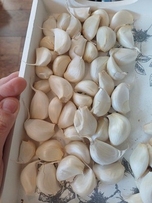 Fotos del artículo de un comprador verificado