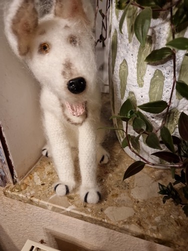 Fotos del artículo de un comprador verificado