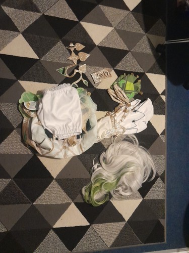 Foto dell'oggetto di un acquirente verificato