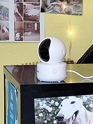 Fotos del artículo de un comprador verificado