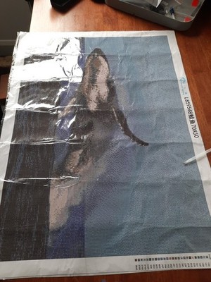 Objectfoto('s) van geverifieerde koper