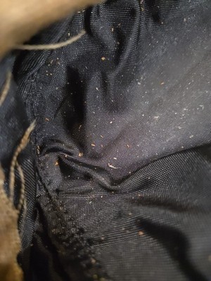 Fotos del artículo de un comprador verificado