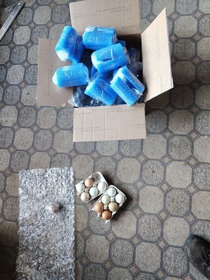 Artikelfoto(s) von einem verifizierten Käufer