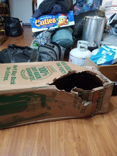 Item photo(s) from verified buyer
