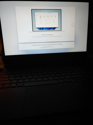 Fotos del artículo de un comprador verificado