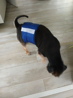 Artikelfoto(s) von einem verifizierten Käufer