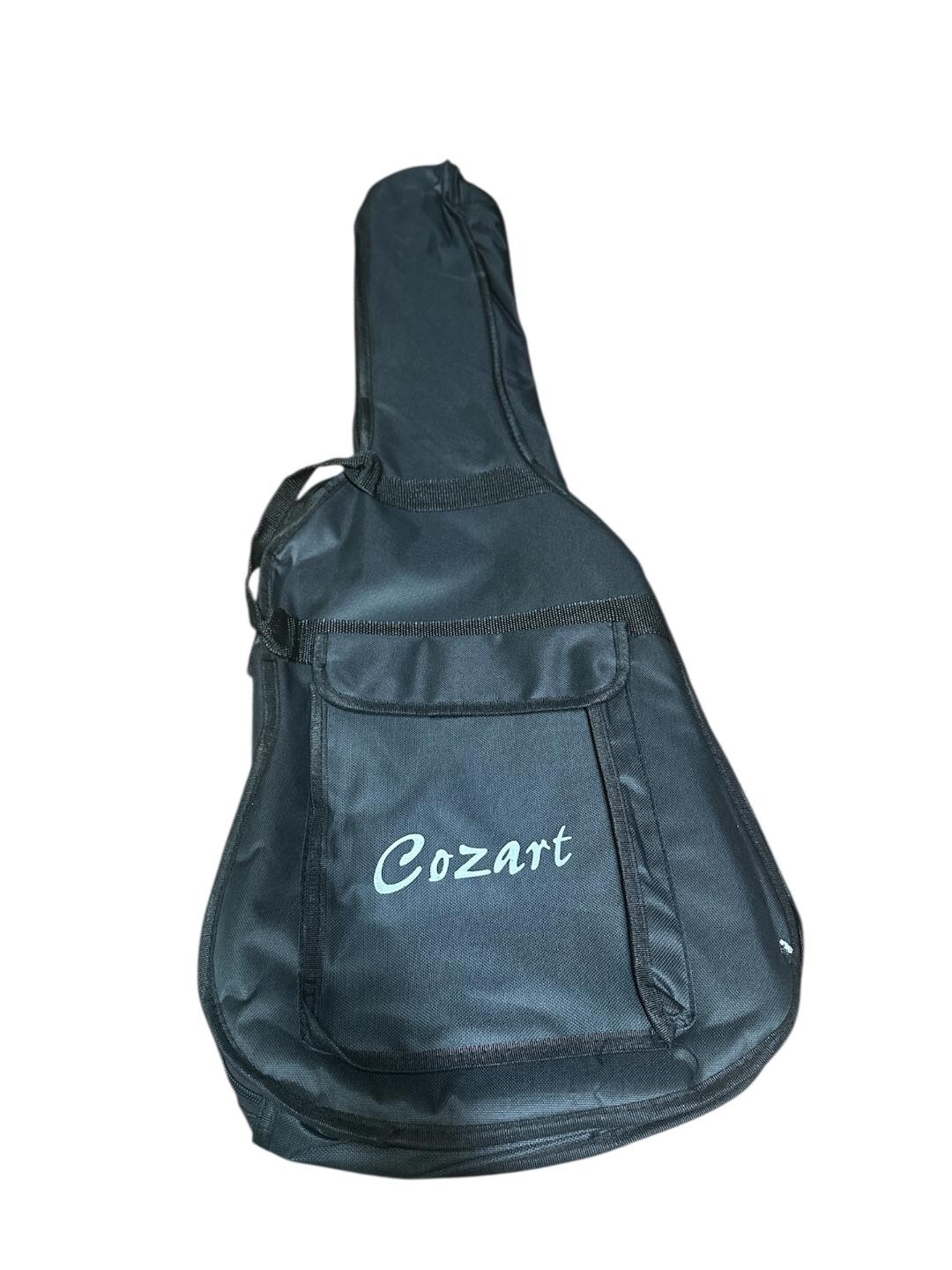 GRECO - DOBRO GUITAR ケース&ピック付き Dobro Hard Case, | Epiphone
