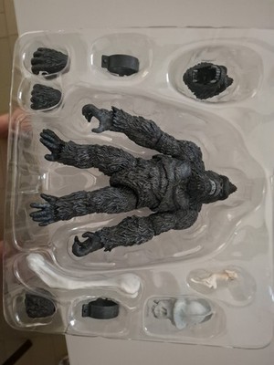 Fotos del artículo de un comprador verificado