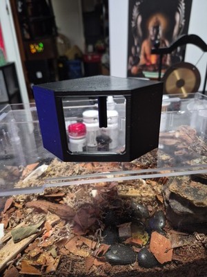 Fotos del artículo de un comprador verificado
