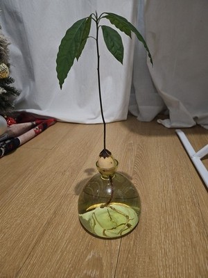 經驗證買家提供的物品圖片