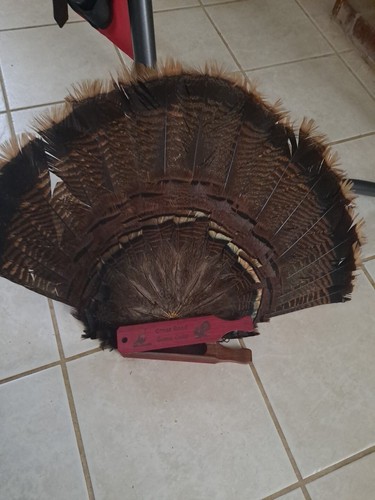 Fotos del artículo de un comprador verificado