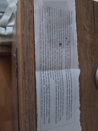 Artikelfoto(s) von einem verifizierten Käufer