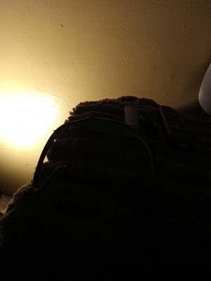 Artikelfoto(s) von einem verifizierten Käufer