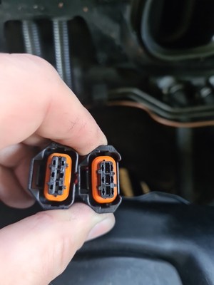 Fotos del artículo de un comprador verificado