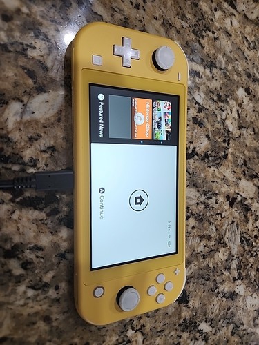 Nintendo Switch Lite Various colors Used Very good Fast Nintendo Switch Lite Various colors Used Very good Fast