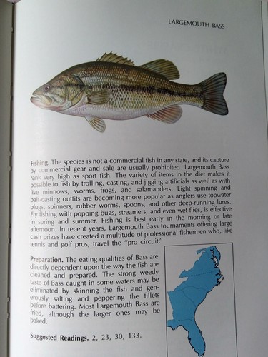 Fisherman's Guide Fishes Of The Southeastern United States Manooch 1988 edition