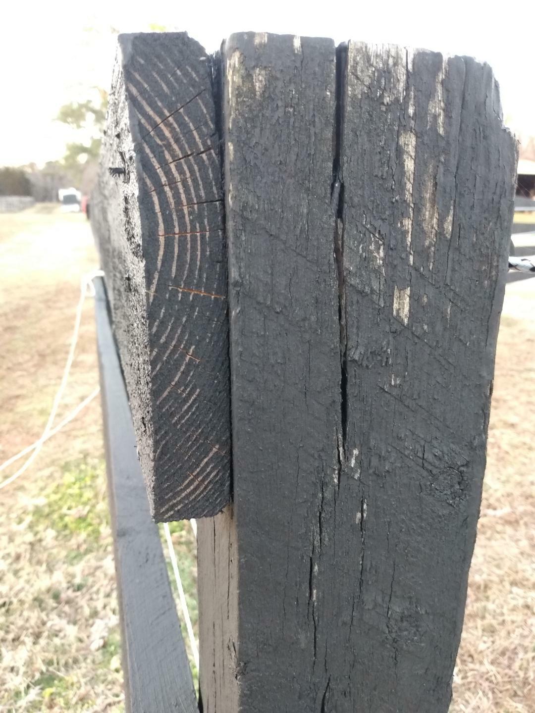 Black Beauty Gloss Black Asphalt Asphalt Fence Paint 5 gal. eBay