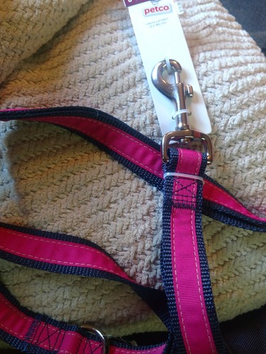 Petco 6 Feet Pink And Navy Blue Classic Leash