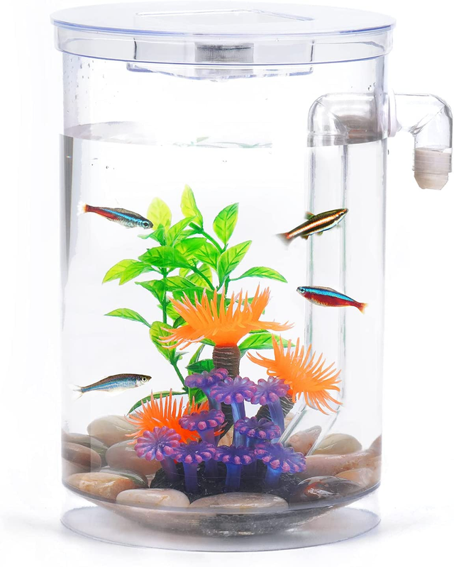 360 Aquarium with LED Light 1 Gallon Fish Bowl, Small Fish Tank Starter Kit