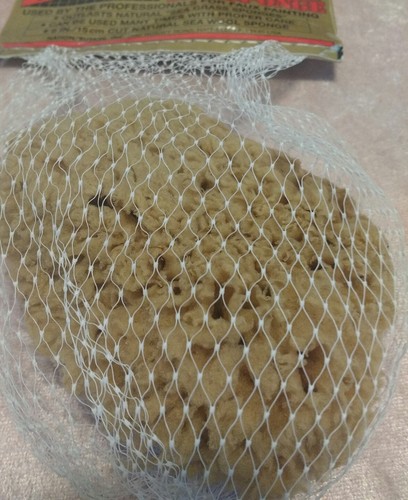 Vtg Cut Natural Wool Sea Sponge 6in 15cm Faux Painting Bahamas EZ One Paint