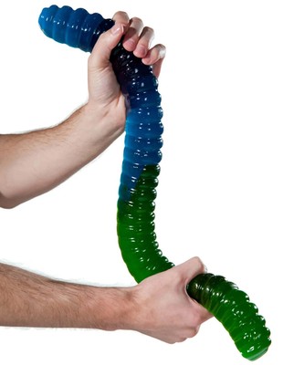 Giant 3-Pound Gummy Worm