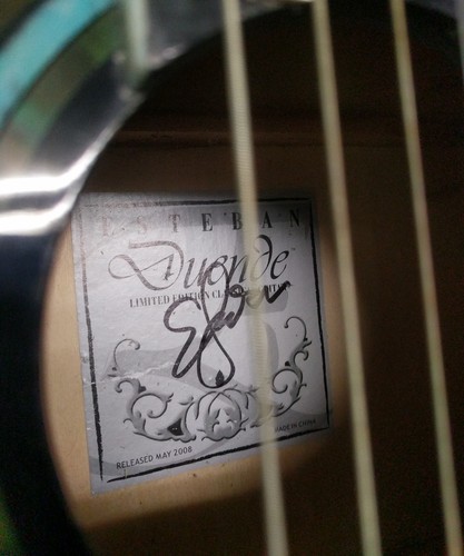 VINTAGE ESTEBAN LIMITED EDITION CLASSICAL GUITAR COLORED INLAY W/ CASE