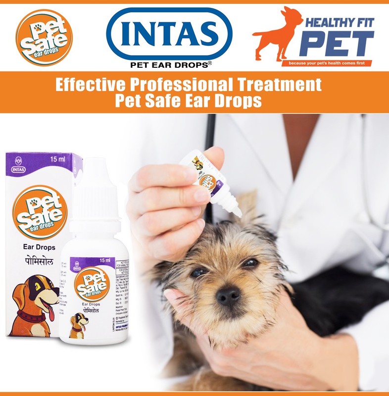 DOG CAT Ear Drops - Infection Antibiotic ...