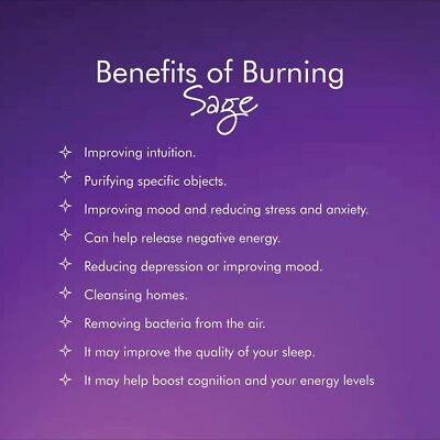 California White Sage 9" Smudge Sticks for Spiritual Healing & Cleansing 6 Pack