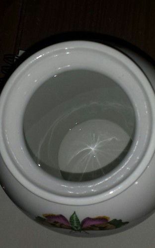 Portmeirion Botanic Garden  Vase 