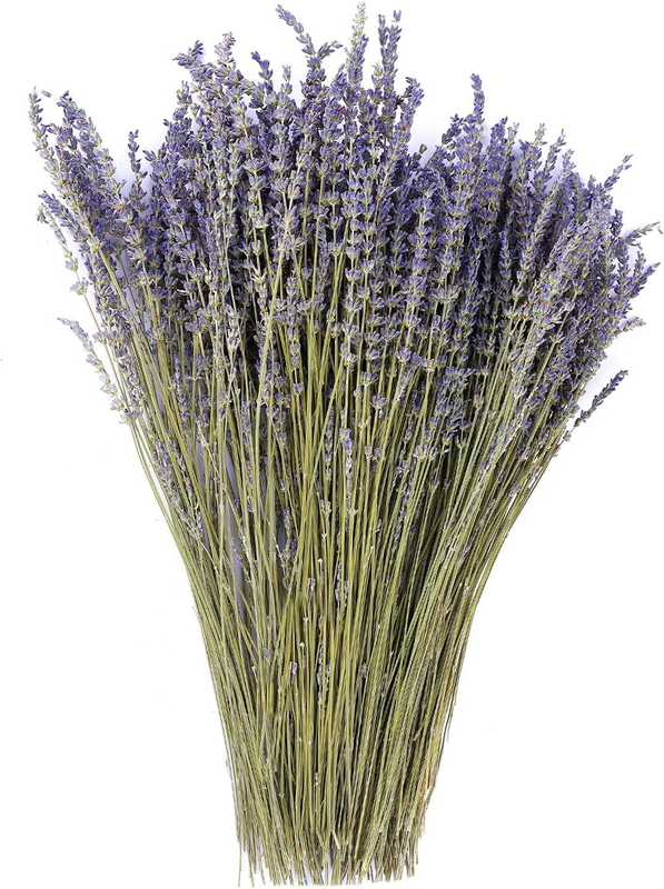 Dried Lavender Flowers Bundles 100% Natural Real Dry Flower for Home Decorations