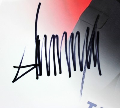 Donald J. Trump & Mike Pence Authentic Signed 16x20 Photo BAS #A78555