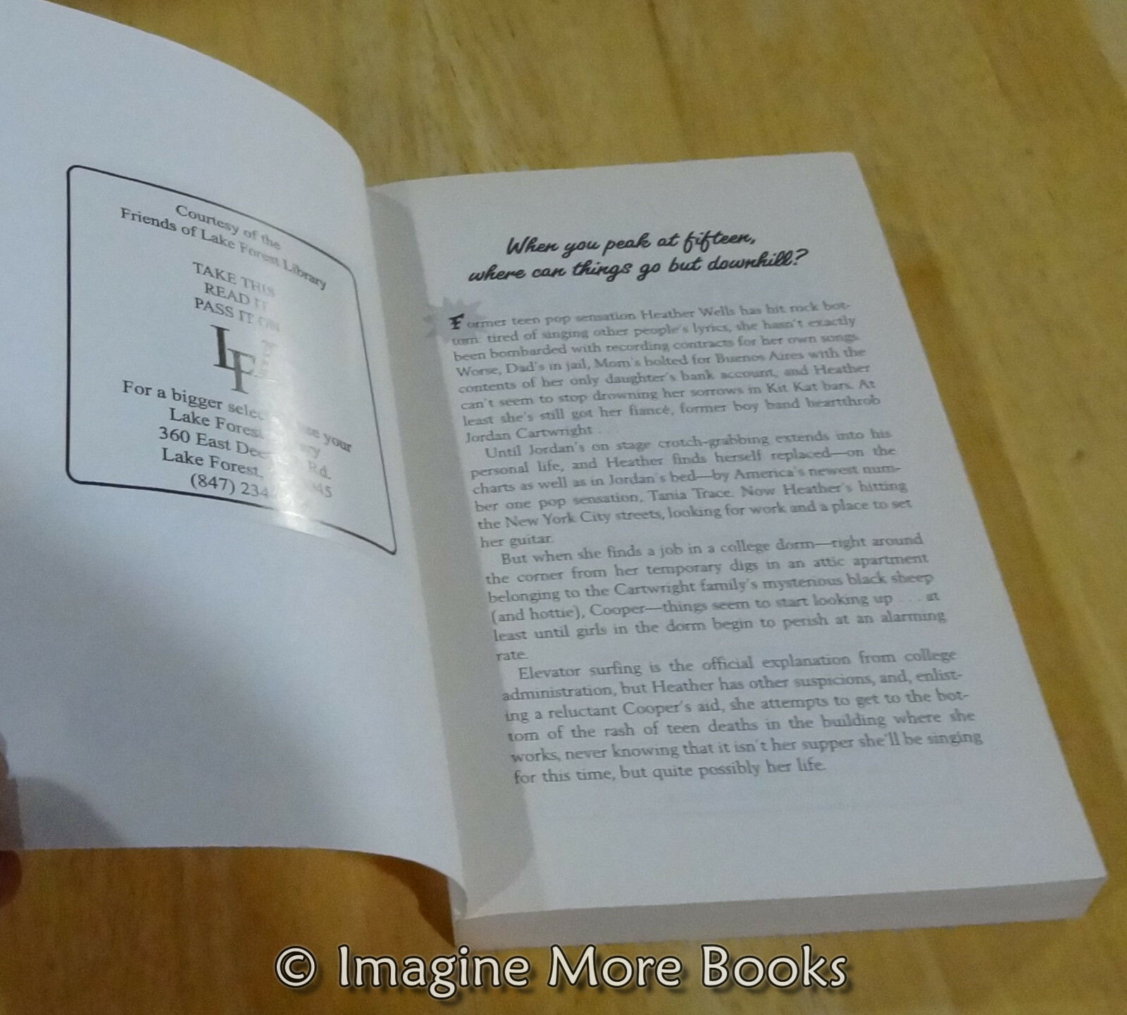 Size 12 is not fat book report 07 picture